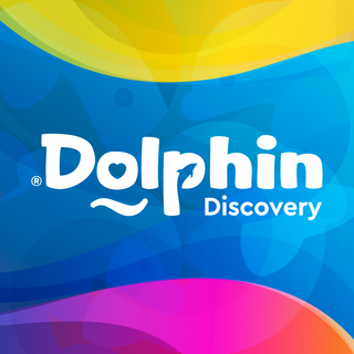 dolphindiscovery.com