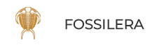fossilera.com